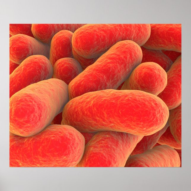 Póster Vista Microscópica De Las Bacterias 4 (Frente)