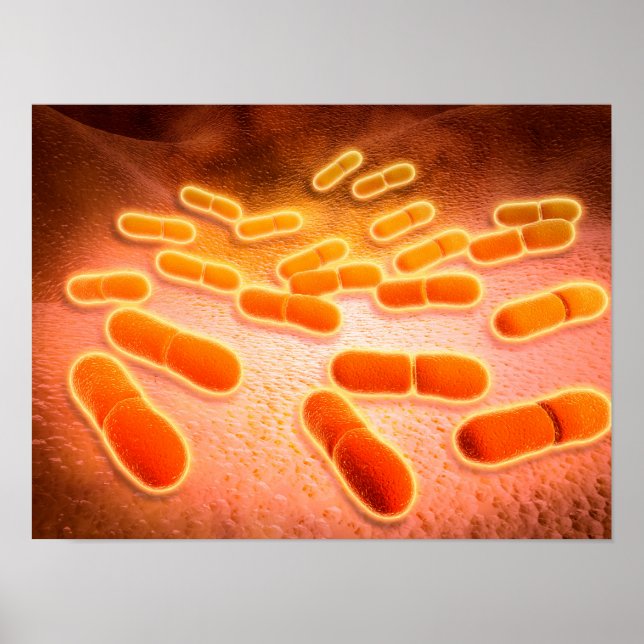 Póster Vista Microscópica De Listeria Monocytogenes 1 (Frente)