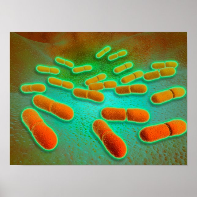 Póster Vista Microscópica De Listeria Monocytogenes 3 (Frente)