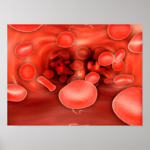 Póster Vista Microscópica De Los Glóbulos Rojos Fluyendo