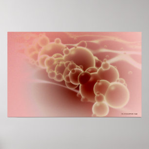 Póster Vista microscópica de microesferas de látex