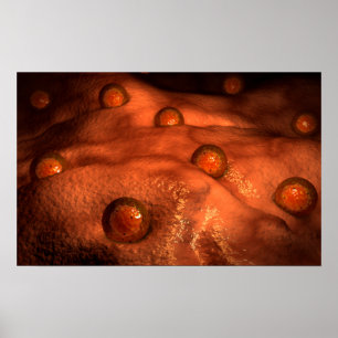 Póster Vista microscópica de óvulos