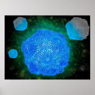 Póster Vista microscópica de Parvovirus canino 3