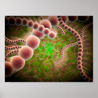 Vista Microscópica De Streptococcus Pneumoniae