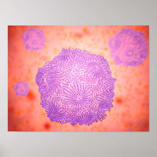 Póster Vista Microscópica Del Parvovirus Canino 2 (Frente)