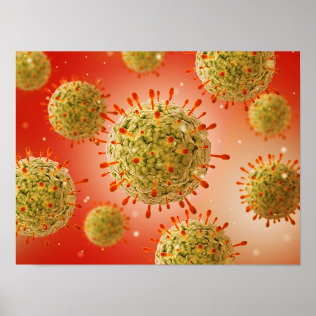 Póster Vista Microscópica Del Virus Herpes 1 (Frente)