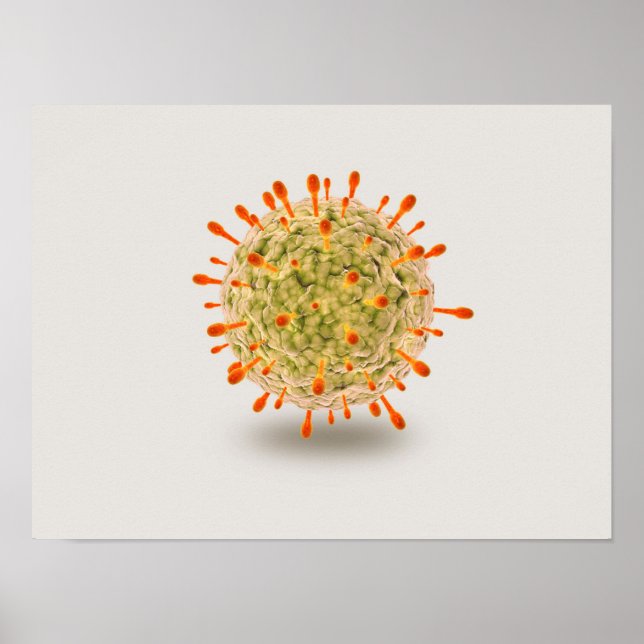 Póster Vista Microscópica Del Virus Herpes 2 (Frente)