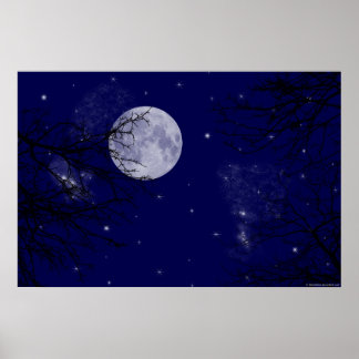 Póster Vista Moon