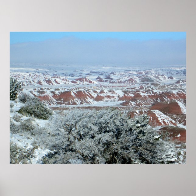 Póster Vista nevada del bosque petrificado (Frente)