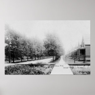 Póster Vista occidental de la avenida Parnell
