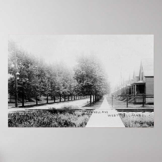 Póster Vista occidental de la avenida Parnell (Frente)