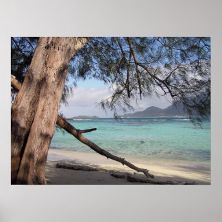 Póster Vista oceánica