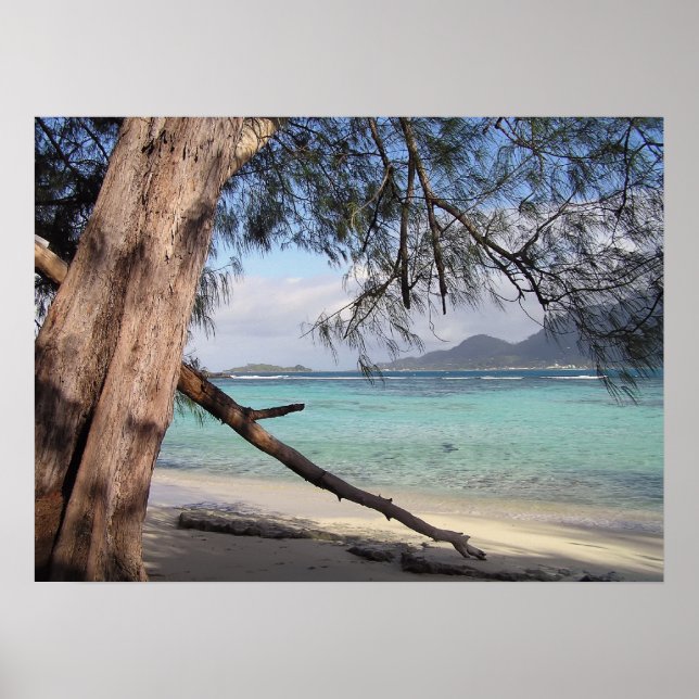 Póster Vista oceánica (Frente)