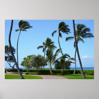 Póster Vista panorámica de Hawái