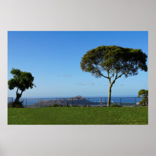 Póster Vista panorámica de Honolulu con Poster jefe de di