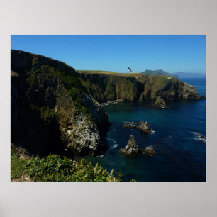Póster Vista panorámica de la isla Anacapa en las Islas d