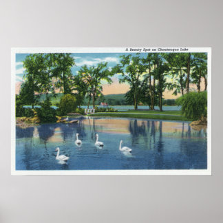 Póster Vista panorámica de los cisnes en el lago