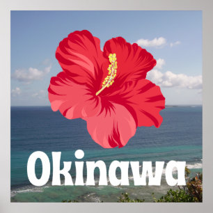 Póster Vista panorámica de Okinawa e Hibiscus