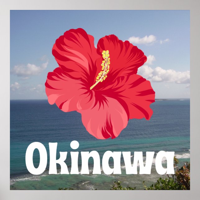 Póster Vista panorámica de Okinawa e Hibiscus (Frente)