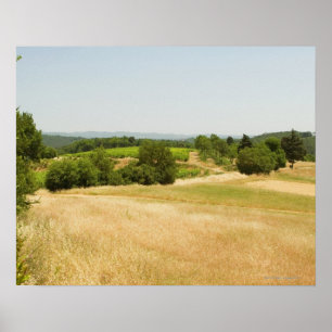 Póster Vista panorámica de un campo, provincia de Siena, 