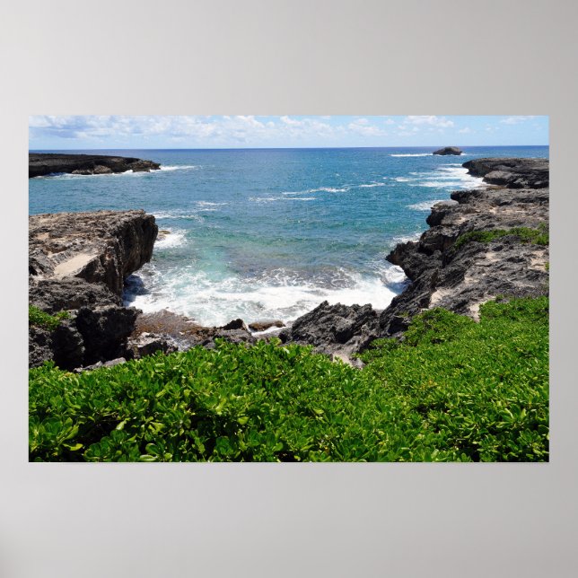 Póster Vista panorámica del Poster costero de Hawái (Frente)