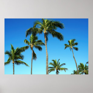 Póster Vista panorámica del Poster de los árboles de coco