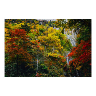 Póster Vista pintoresca del otoño de Hagoromo Falls Hokka