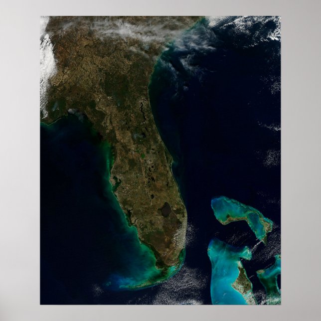 Póster Vista Satelital De Florida. (Frente)