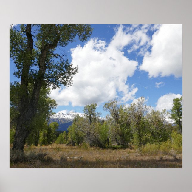 Póster Vista soleada del monte Grand Teton (Frente)