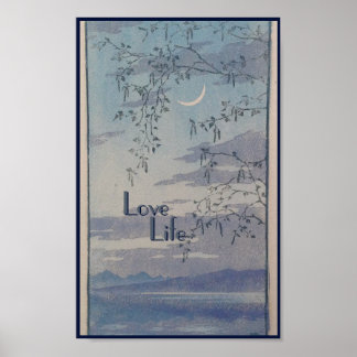 Póster vista tranquila