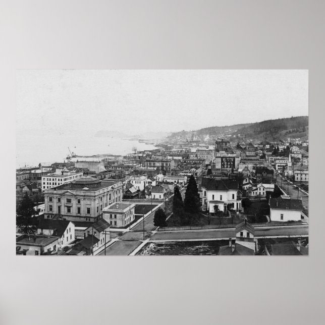 Póster Vista visual de pájaro de Astoria, O fotografía (Frente)