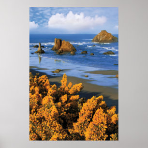 Póster Vistas A La Playa De Oregón En Bandon