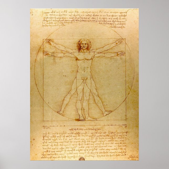 Póster Vitruvian Man by Leonardo da Vinci  (Frente)