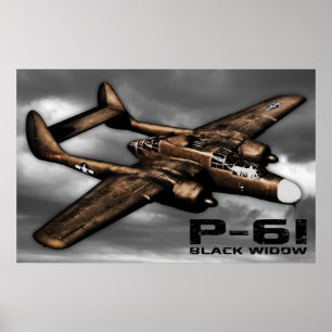 Póster Viuda negra P-61