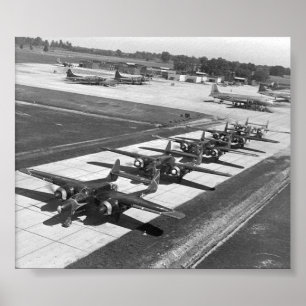 Póster Viudas negras P-61