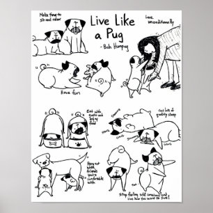 Póster ¡Viva Como Un Pug!