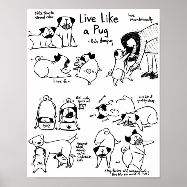 Póster ¡Viva Como Un Pug! (Frente)