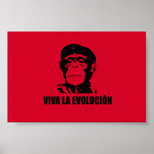 Póster Viva la evolución