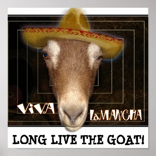 PÓSTER VIVA LAMANCHA, ¡HACE MUCHO TIEMPO QUE VIVAS LA CAB (Frente)