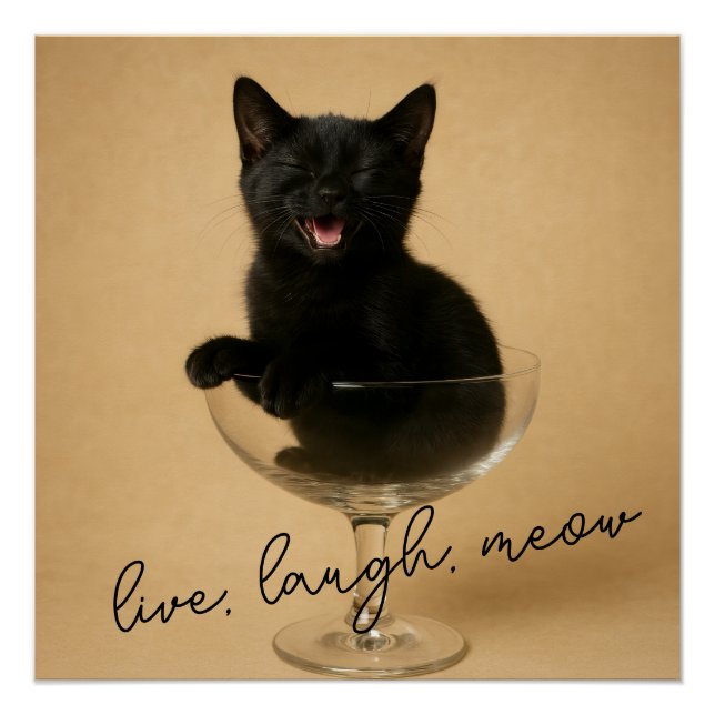 Póster Vive Ríe Miau (Anverso)