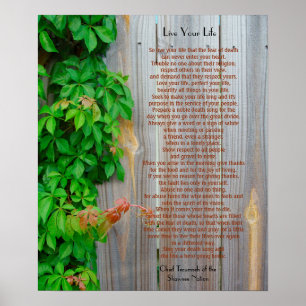 Póster Vive tu vida, Jefe Tecumseh