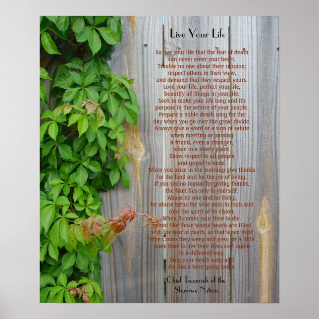 Póster Vive tu vida, Jefe Tecumseh (Frente)