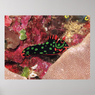 Póster Vivid Nudi