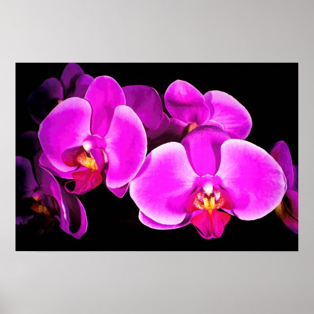 Póster Vivid Orchid (Frente)