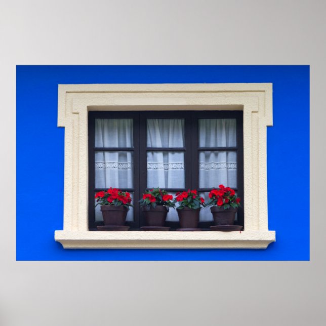Póster Viviendas con flores en ventanas (Frente)