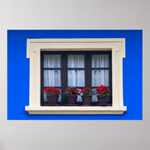 Póster Viviendas residenciales con flores en ventanas