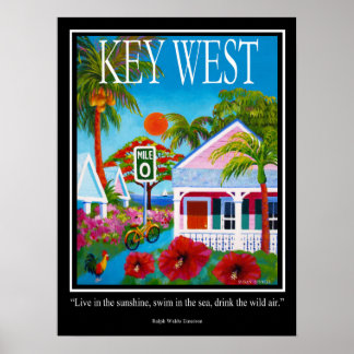 Póster Vivir al sol