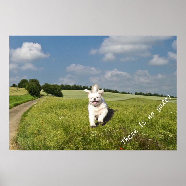 Póster "Vivir como..." Poster - Budista (Matrix) Versión! (Frente)