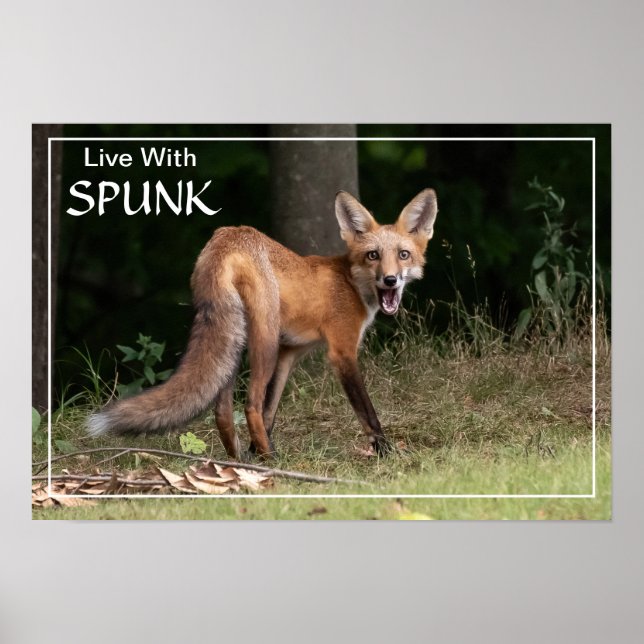 Póster Vivir con SPUNK (Frente)