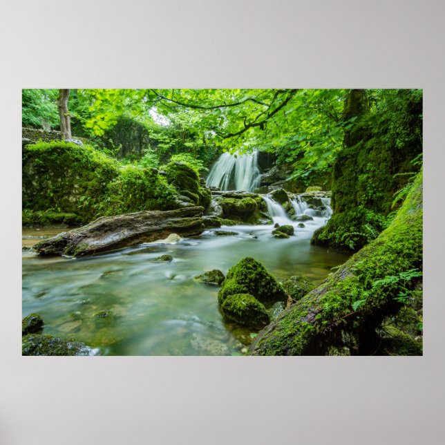 Póster Vivir en armonía (Frente)